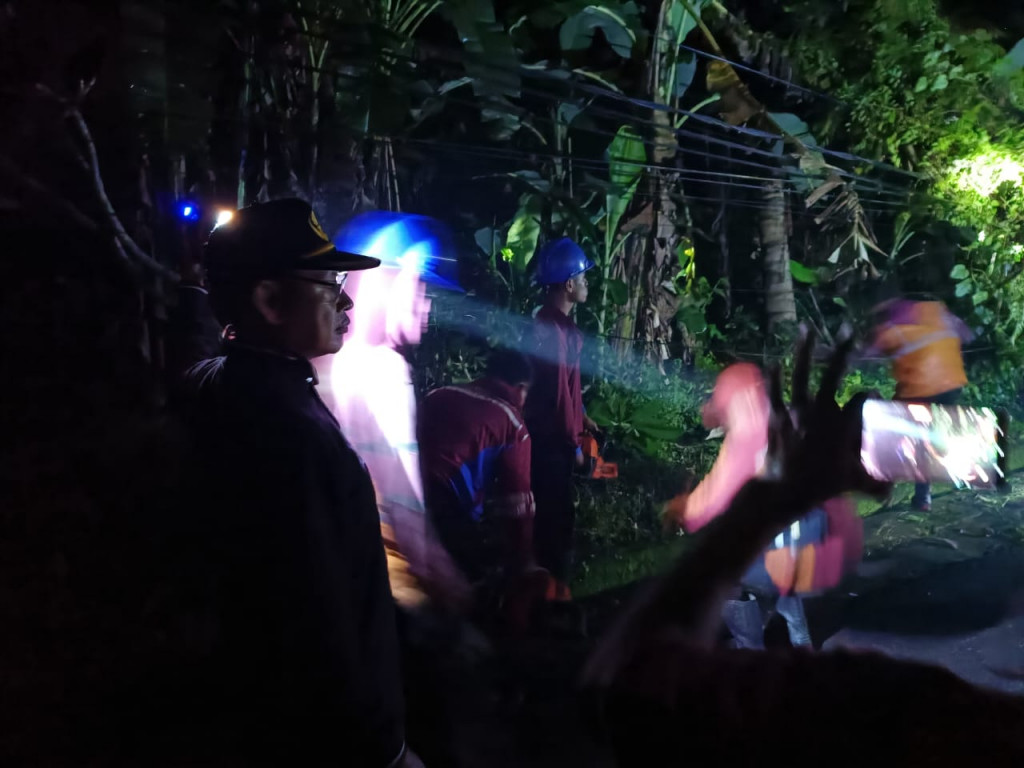 POHON TUMBANG MENIMPA KABEL LISTRIK