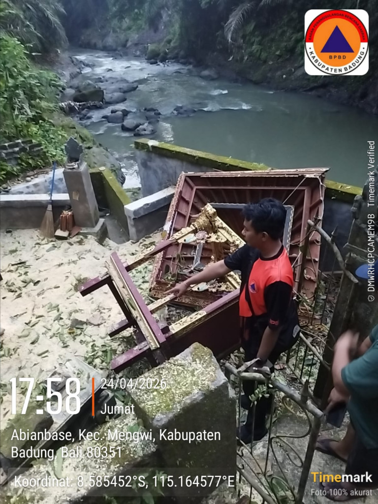 Pohon Tumbang di Banjar Pasekan, Desa Adat Tangeb, Kelurahan Abianbase, Kecamatan Mengwi