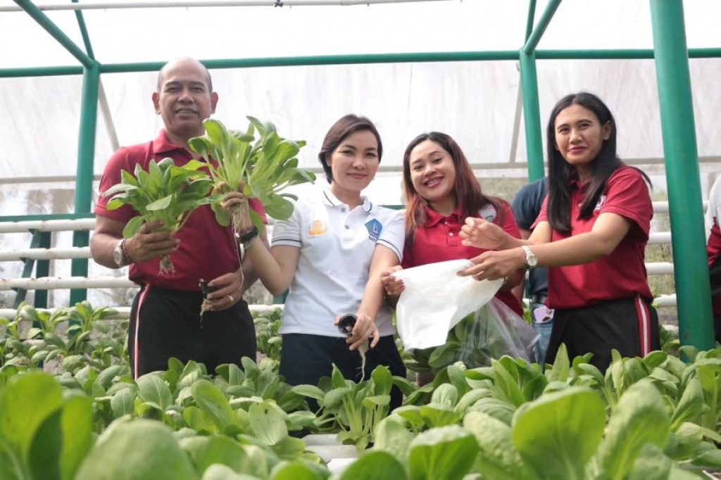 Plt. Kepala BRIDA Kab. Badung I Gusti Ayu Agung Trisna Dewi, SE. AK., MM  melakukan panen tanaman pakcoy yang telah mendapatkan perlakuan serta pemantauan khusus melalu Alat IoT TAMARA