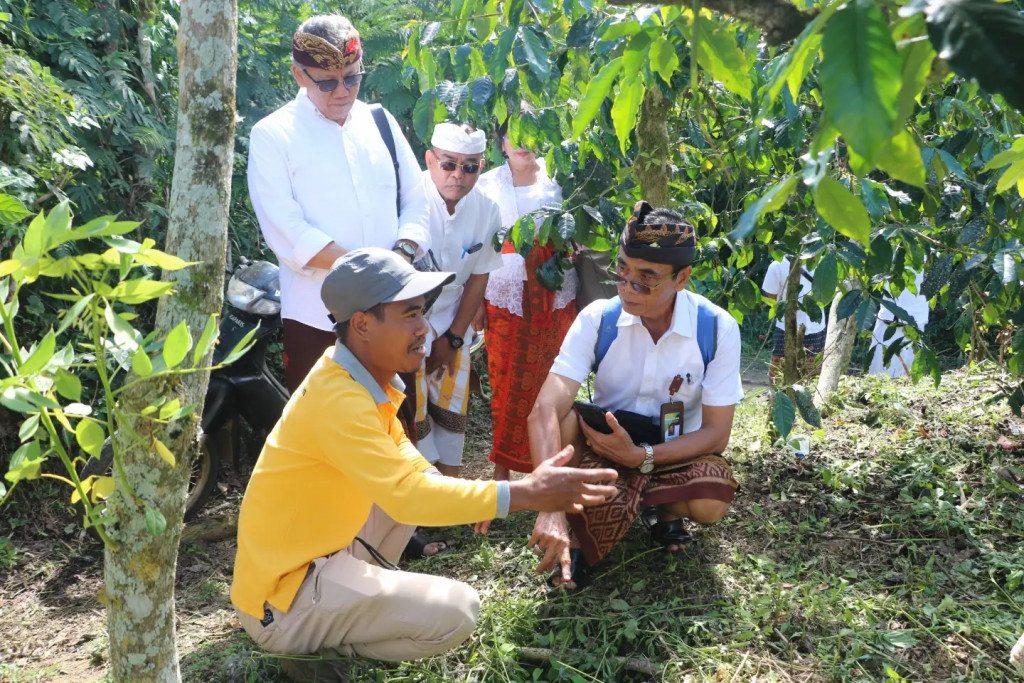 Penilaian Lapangan Inovasi "Model Ekonomi Sirkuler pada Perkebunan Kopi Rakyat di Jempanang