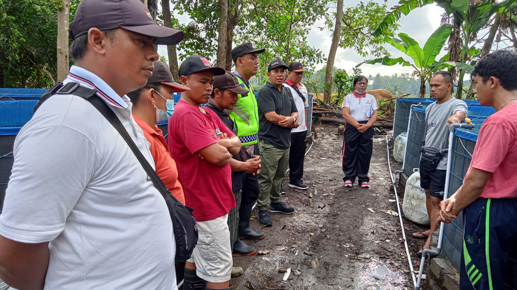 KEGIATAN PENEBARAN BENIH PERTAMA DI KOLAM IKAN KETAHANAN PANGAN DESA DARMASABA