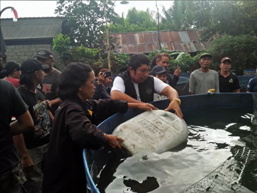 PROGRAM KETAHANAN PANGAN PEMERINTAH DESA DARMASABA TAHUN 2023