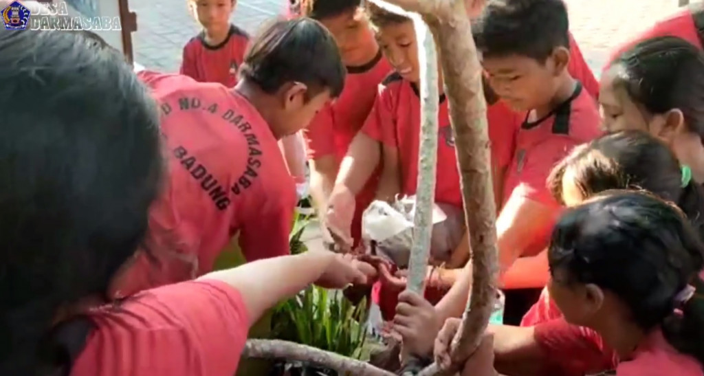 PENGGUNAAN PUPUK ORGANIK TPS 3R PUDAK MESARI