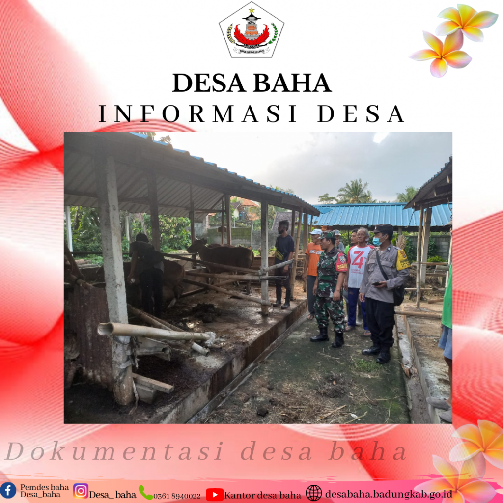 Senin, 18 Juli 2022 Eksekusi Penyakit Mulut dan Kuku di Desa Baha