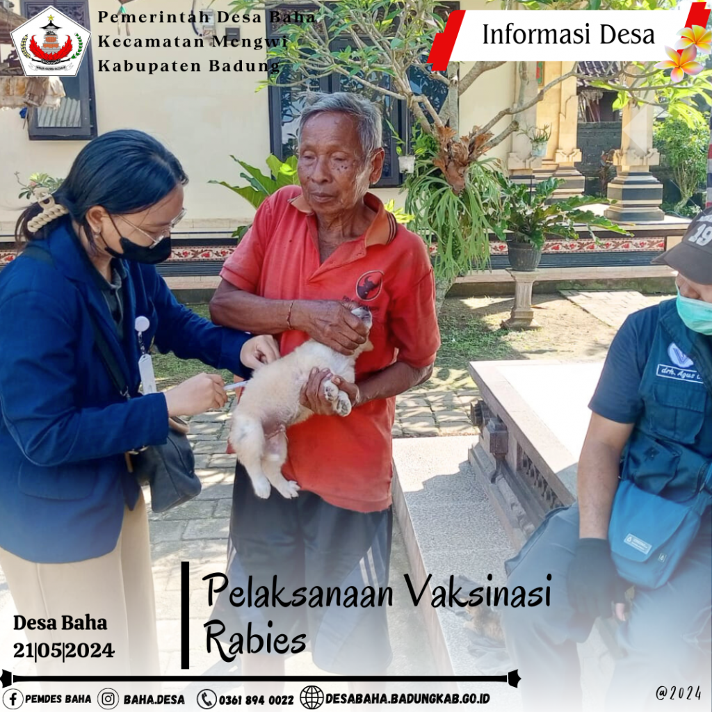 Pelaksanaan Vaksinasi Rabies di Wilayah Desa Baha