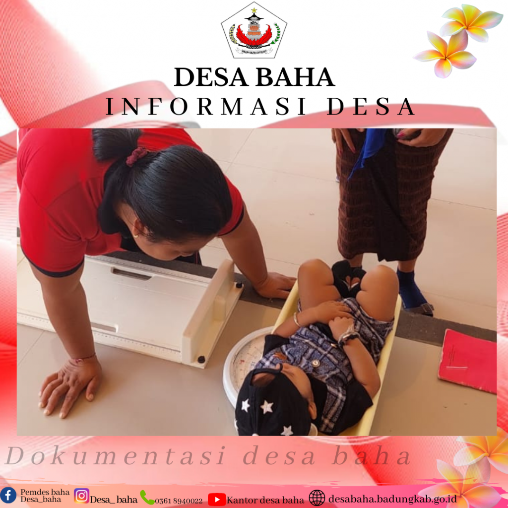 Posyandu Balita Bulan Oktober  di Br. Kedua, Desa Baha