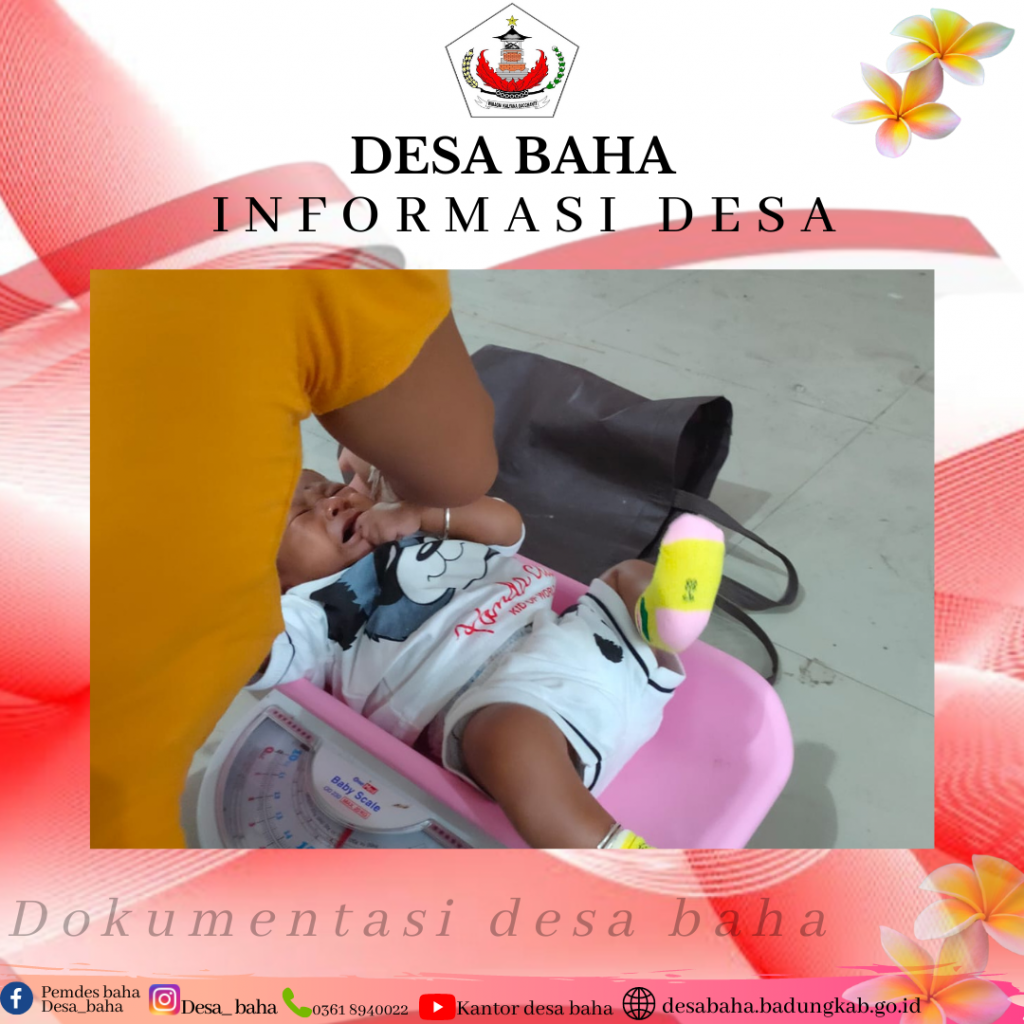 Posyandu Balita bulan Oktober di Br. Pengabetan Desa Baha