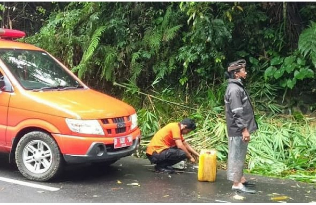 BPBD Kab Badung evakuasi Pohon Tumbang di Banjar Teguan
