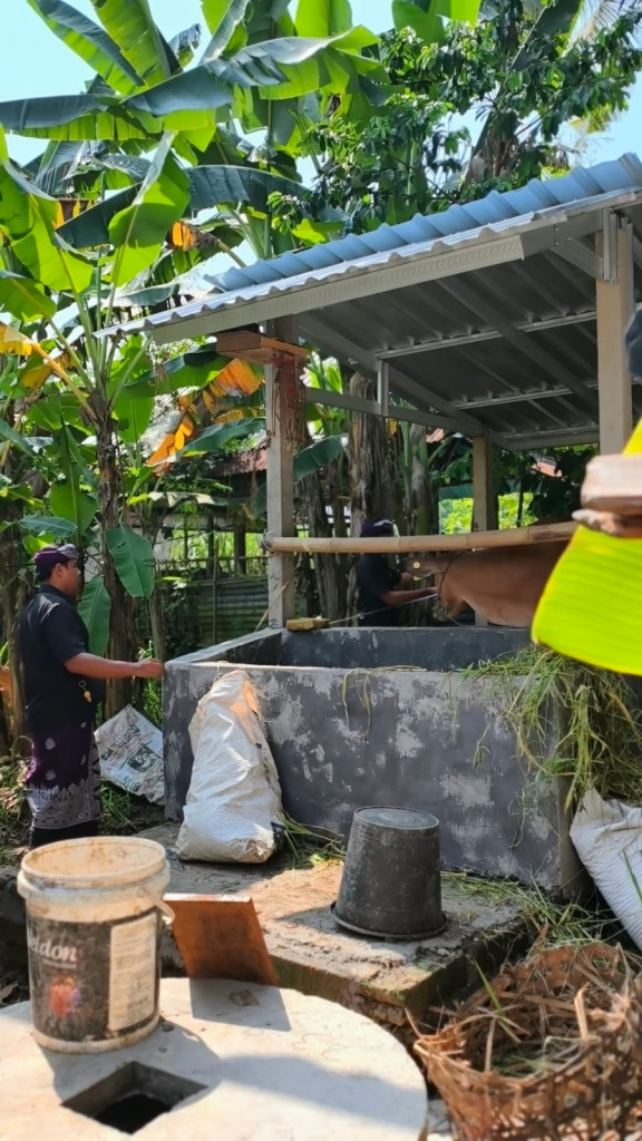 Kawal Program Ketahanan Pangan, Pemdes Abiansemal Dauh Yeh Cani Tinjau Progres 50% Pembangunan Kandang Sapi