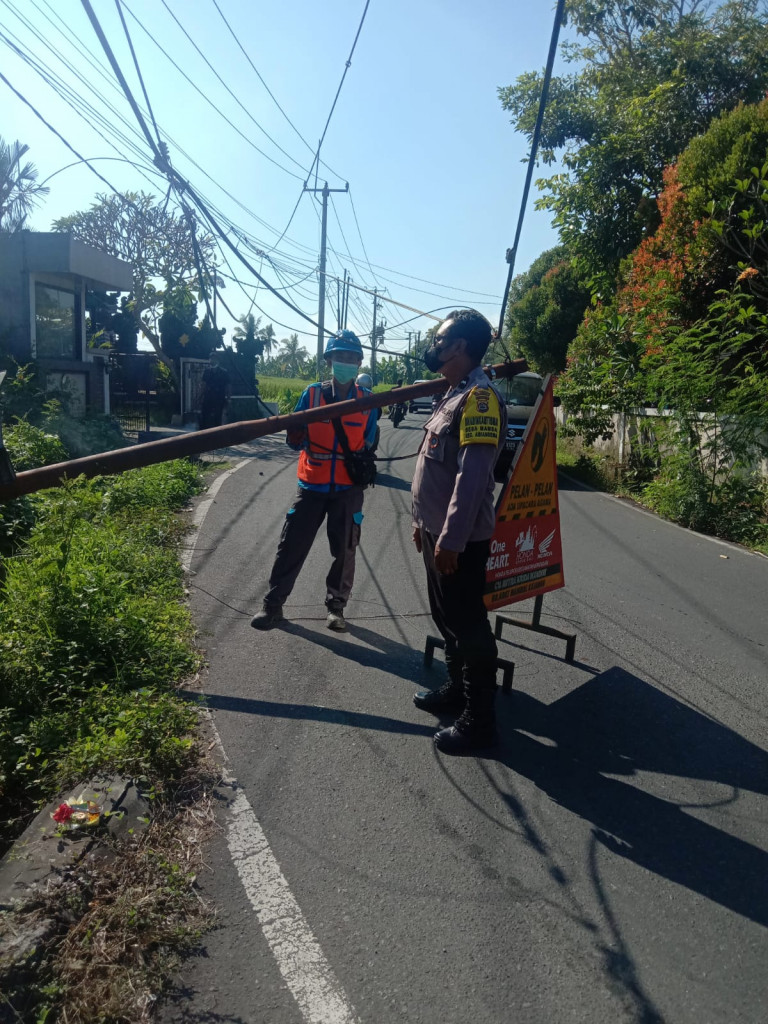 Pembersihan Kabel Listrik yang jatuh kejalan