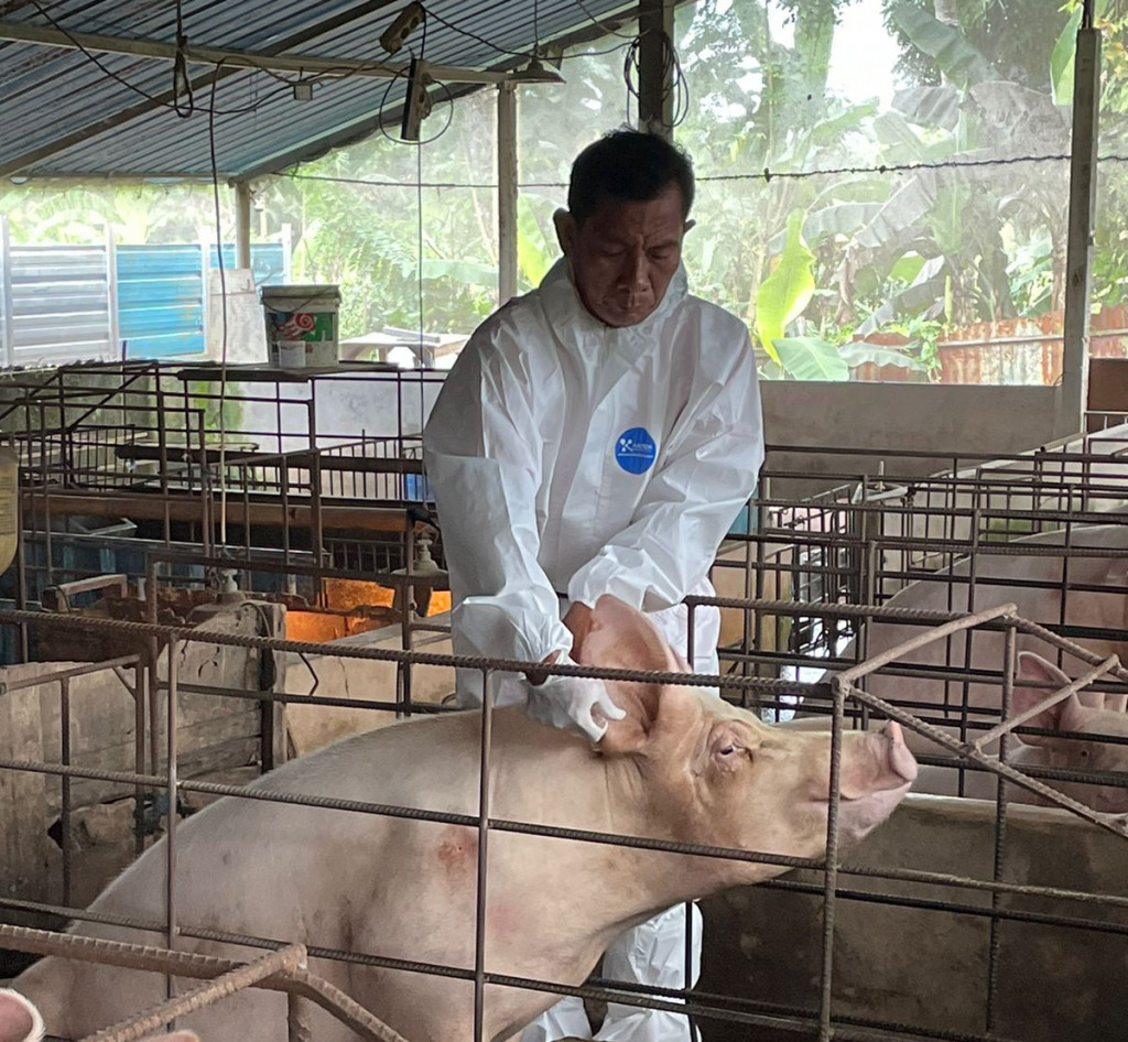 Pemberian Vaksin PMK di Desa Mambal