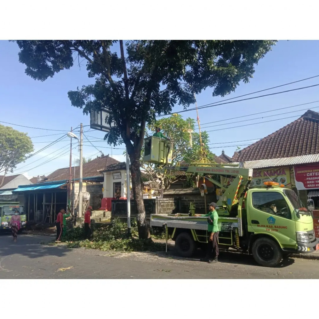 Pemangkasan pohon perindang di Desa Mambal