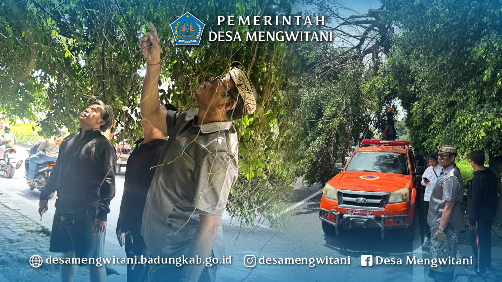 POHON BERINGIN PATAH DI PURA DESA BERINGIKT, PERBEKEL MENGWITANI ATENSI BPBD & DLHK BADUNG