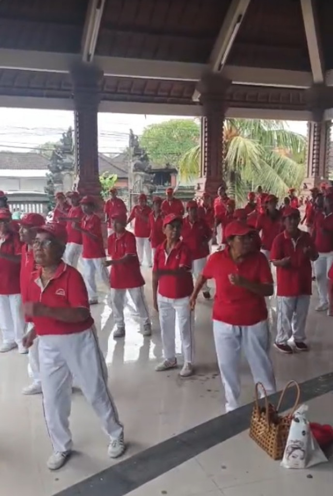 KEGIATAN SENAM LANSIA DAN PEMBERIAN PMT BR. DINAS PUPUAN, MENGWITANI