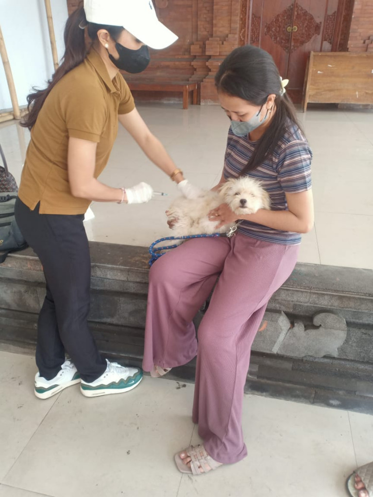 Berlangsung Kegiatan Vaksin Rabies Di Wilayah Banjar Dinas Panca Warga.