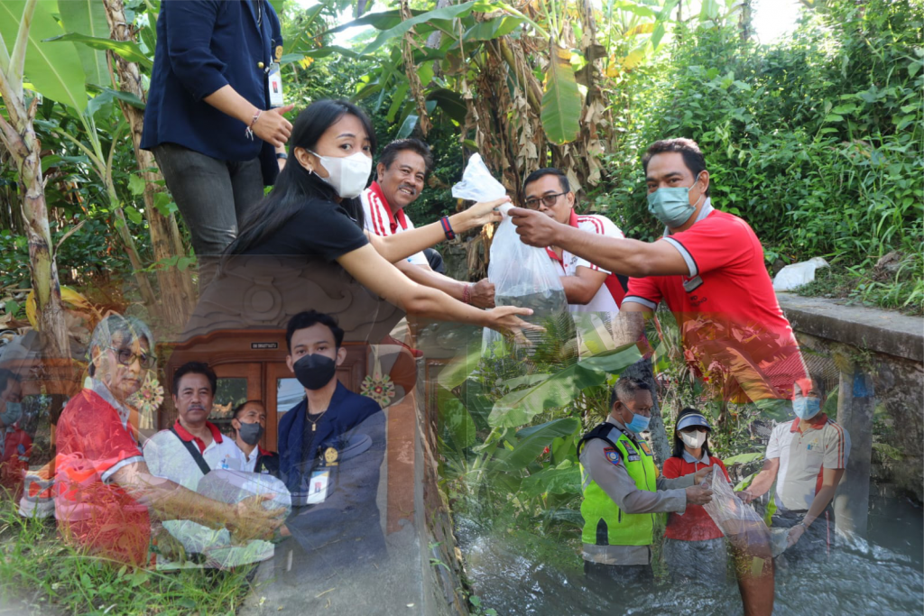 10.000 Ikan Nila Terjun di Desa Munggu