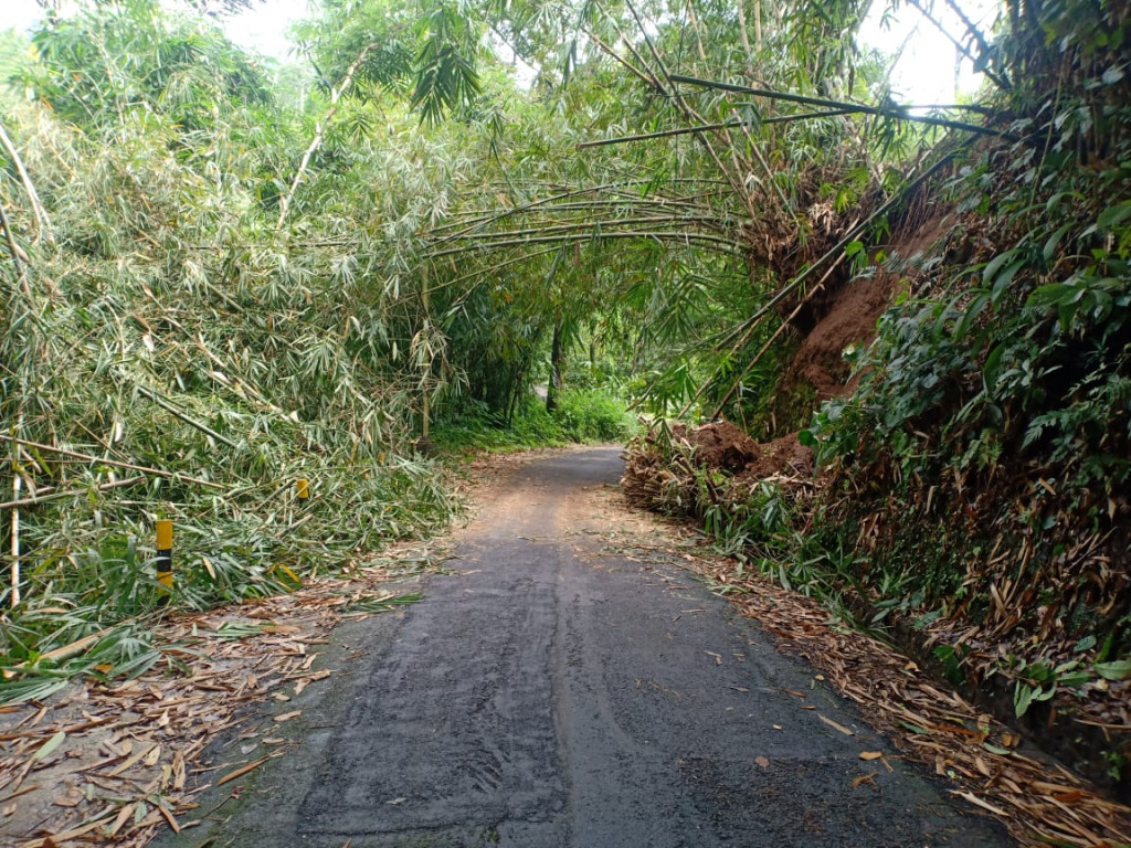 Terjadinya Tanah Longsor di Banjar Lipah Petang