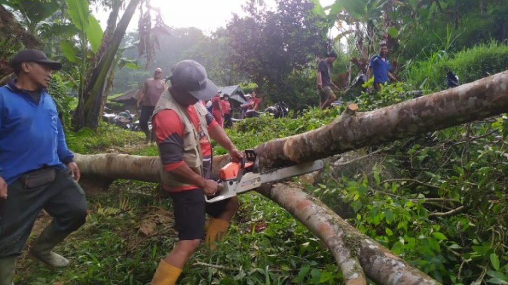 POHON TUMBANG, DESTANA DESA SULANGAI SIGAP BENCANA