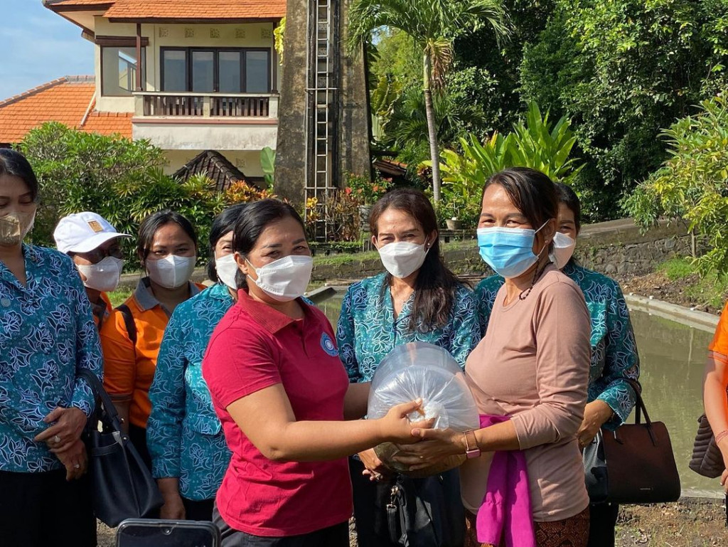 Gencarkan Program Gemar Makan Ikan Pemerintah Tebar Benih Ikan di Kolam Warga