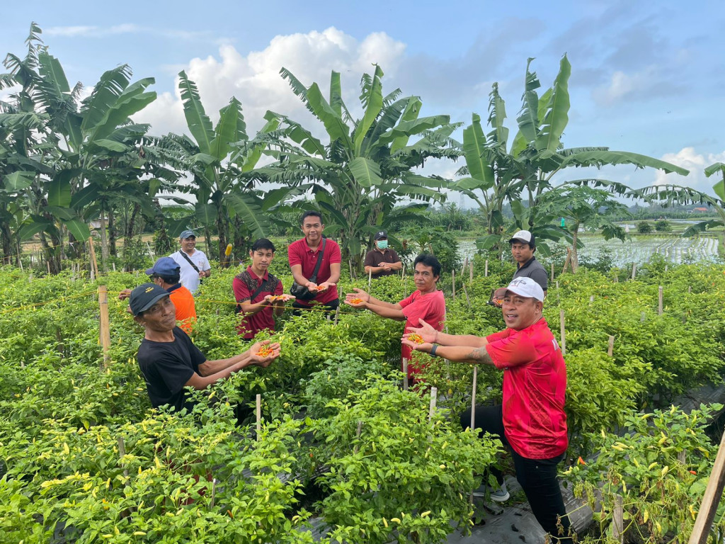 Kegiatan Ketahanan Pangan Desa