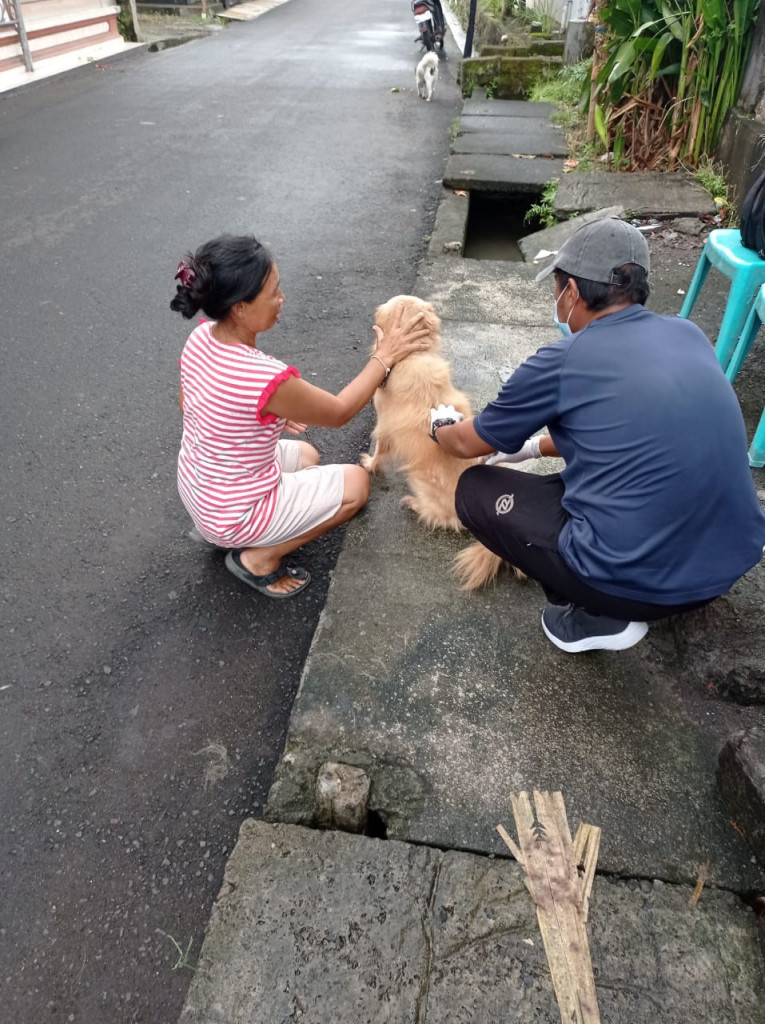 Vaksinasi Rabies di Banjar Datengan