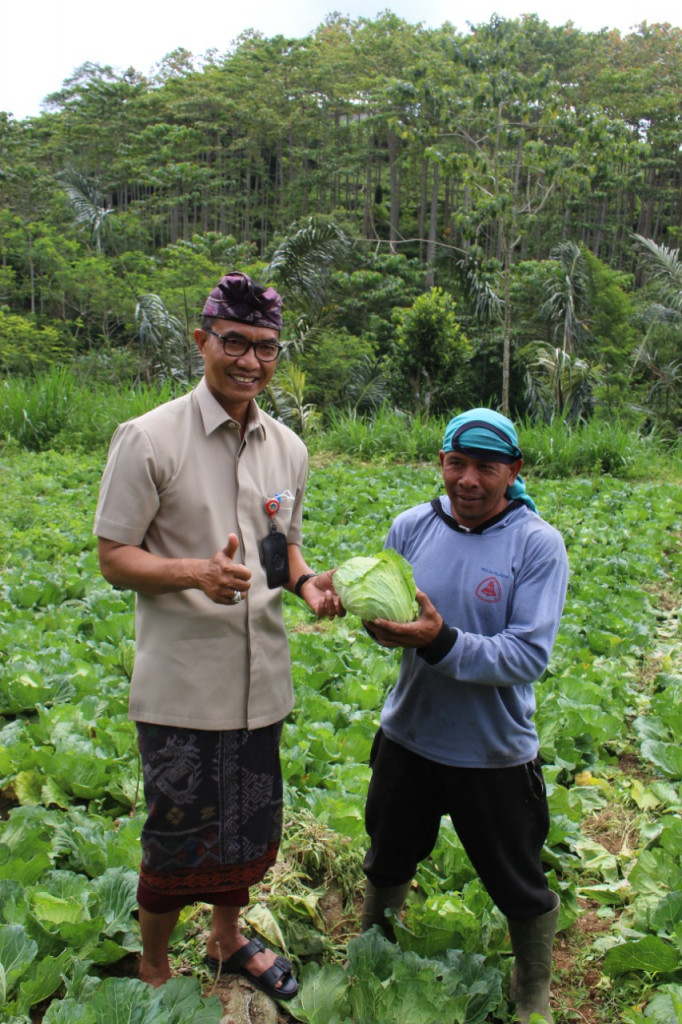 KADIS DINAS PERTANIAN DAN PANGAN KABUPATEN BADUNG MELAKUKAN MONITORING PRODUKSI JELANG IDUL FITRI