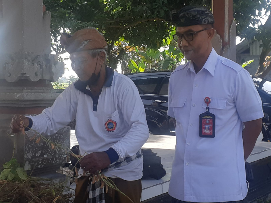 SERAP PRODUKSI KEDELAI PETANI, DINAS PERTANIAN DAN PANGAN KABUPATEN BADUNG GANDENG PENGUSAHA TAHU
