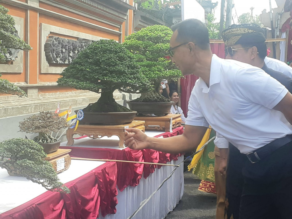 KONTES BONSAI DI DESA PENARUNGAN
