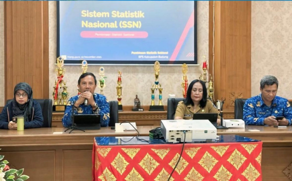 Pembinaan Statistik Sektoral (PSS) 2025 - Domain Sistem Statistik Nasional