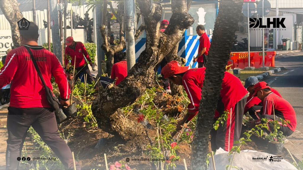 DLHK Badung Laksanakan Penataan Taman pada Jalur Simpang Mertanadi hingga Jalan Sunset Road