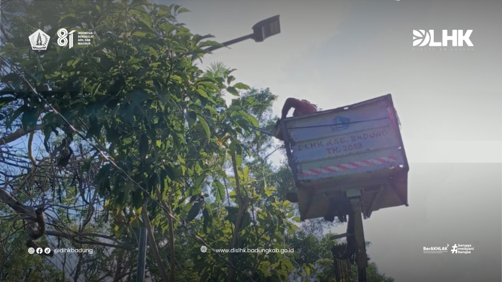 DLHK Badung Laksanakan Perompesan Pohon Perindang di Sepanjang Jalan Kampus UNUD