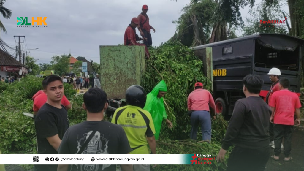 Tim DLHK Badung Gerak Cepat Atensi Pohon Beringin Tumbang di Br. Sayan Delodan