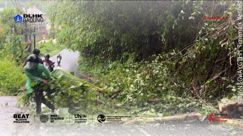 Program Bersih-bersih Sungai dan Penanaman Pohon Mangrove Dalam Rangka Peringati Hari Lingkungan Hidup Sedunia