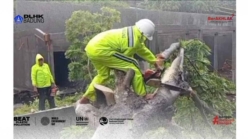 TTanggap Darurat! DLHK Badung Turunkan Tim Untuk Bersihkan Pohon Tumbang Yang Tutupi Sungai Di Area Jembatan Sading