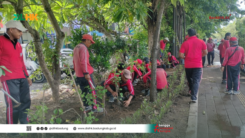 DLHK Badung Kembali MeLakukan Penanaman 170 Pohon Kembang Kertas di wilayah tuban, kuta