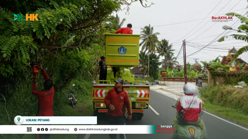 DLHK Badung Rutin Lakukan Perompesan dan Peremajaan Pohon Perindang Jelang Musim Penghujan Pada Beberapa Titik Lokasi di Kabupaten Badung