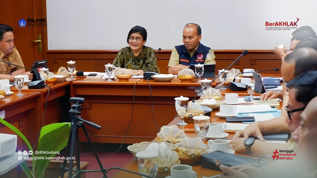 Dinas Lingkungan Hidup dan Kebersihan Kabupaten Badung mengikuti Koordinasi Strategis P3E Bali Nusra untuk Pengawasan Pengelolaan TPA di Wilayah Bali dan Nusa Tenggara