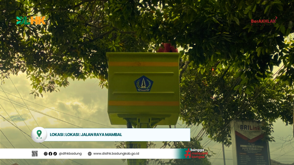 DLHK Badung Laksanakan Pemangkasan dan Peremajaan Pohon Perindang Pada Sejumlah Titik di Kabupaten Badung