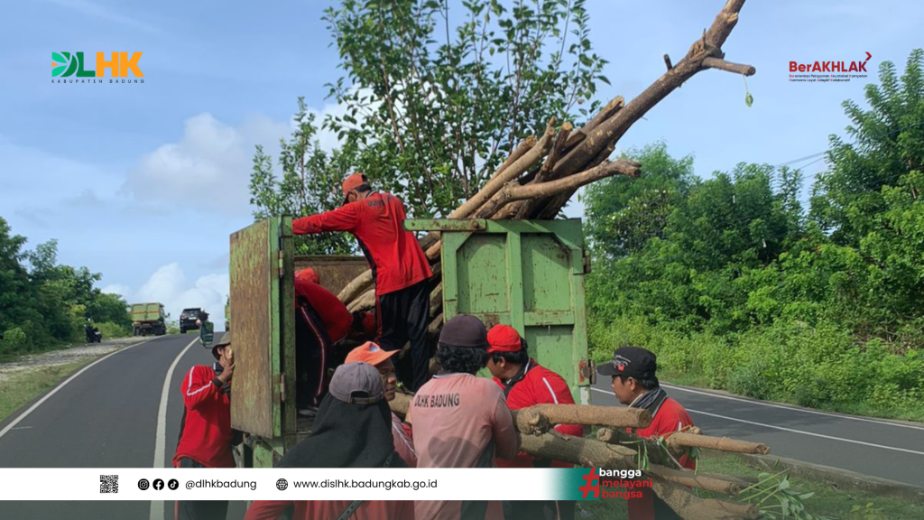 Tim Pertamanan DLHK Badung Lakukan Penanaman Pohon Perindang di Sepanjang Jalur Sawangan dan Siligita