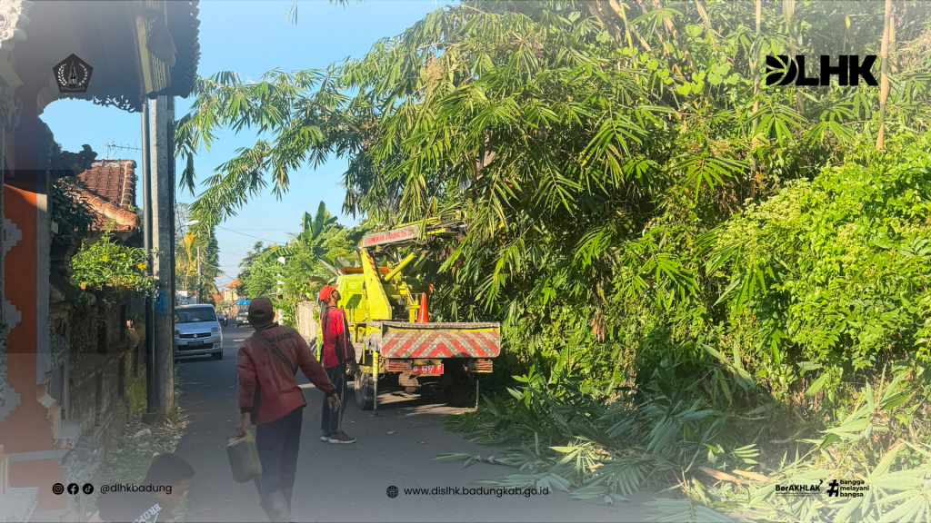 Tim Perindang DLHK Kabupaten Badung Laksanakan Pemangkasan Pohon Bambu di Jalan Daha, Br. Kembangsari, Desa Blahkiuh