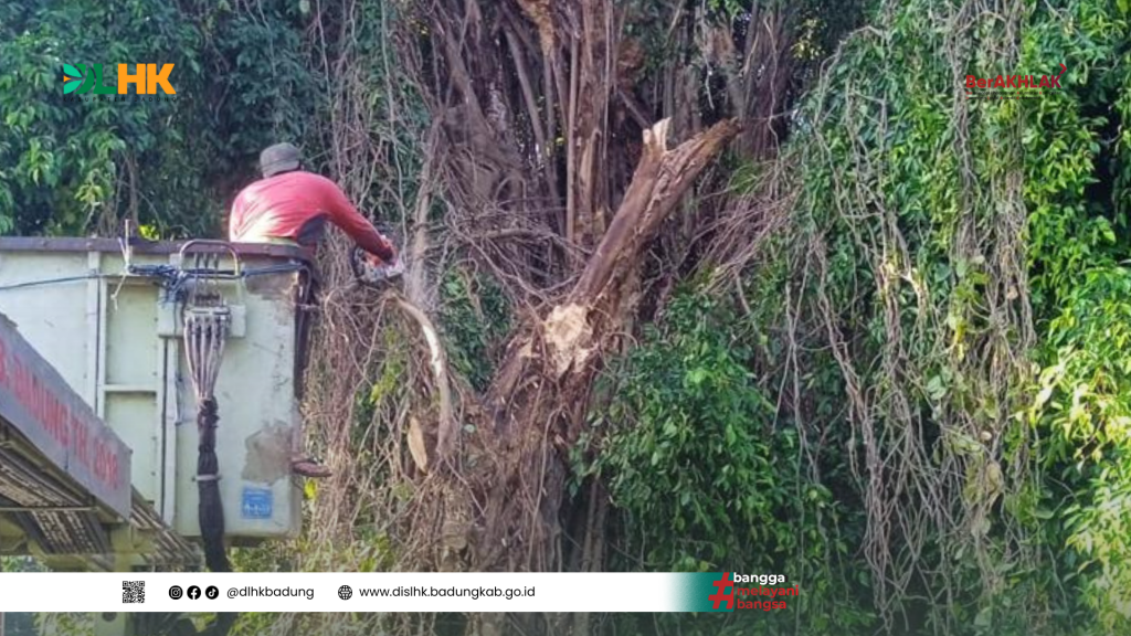 Tim DLHK Badung Atensi Pengaduan Terkait Pohon di Area Pura Ulunsiwi, Jimbaran, Badung