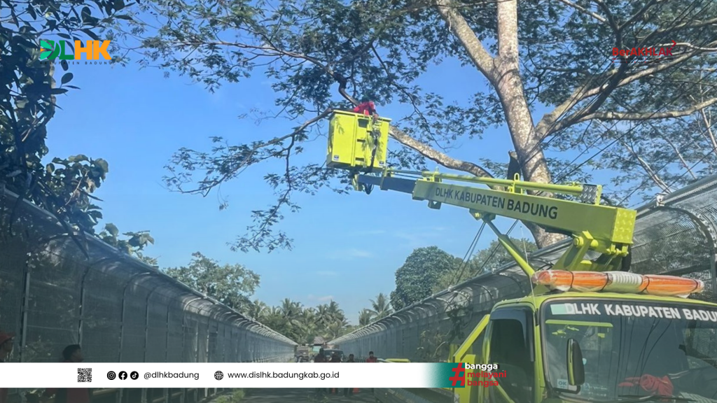 Tim DLHK Badung Atensi Pengaduan Terkait Ranting Pohon Yang Membahayakan di Jembatan Sangeh
