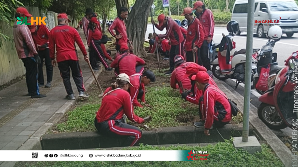 Tim Pertamanan DLHK Badung Kembali Melakukan Penanaman Tanaman Berjenis Bugenvil di Jalur Siligiita