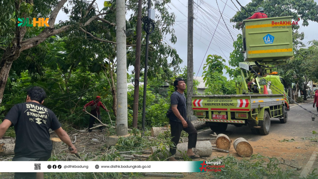 DLHK Badung Gerak Cepat Atensi Pohon Tumbang yang Menimpa Kabel Listrik di Sekitar Br. Anggas, Unggasan, Kuta Selatan