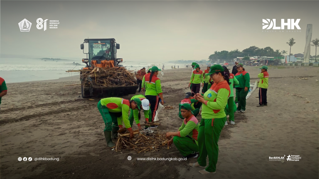 Pelaksanaan Kegiatan Pembersihan Sampah Laut di Kawasan Loloan Yeh Poh oleh DLHK Kabupaten Badung
