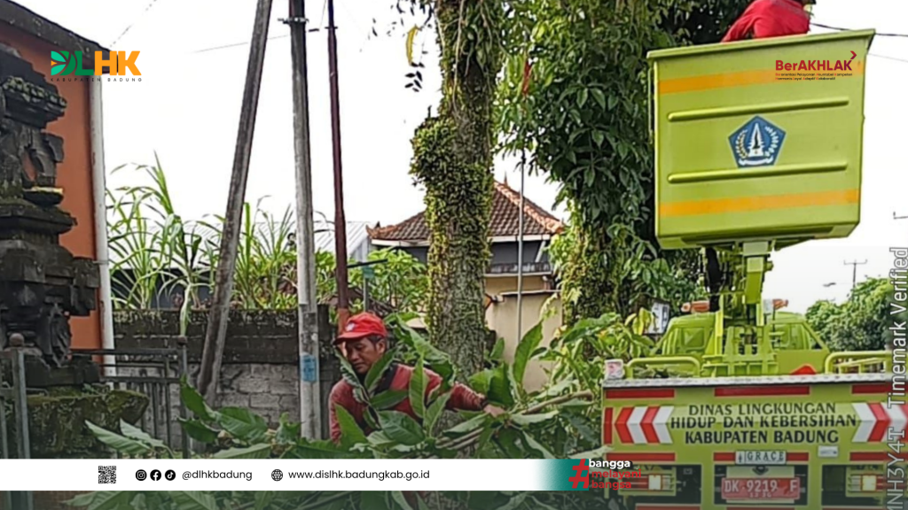 Antisipasi Cuaca Buruk DLHK Badung Lakukan Perompesan dan Pembersihan Pohon Tumbang di Wilayah Kabupaten Badung