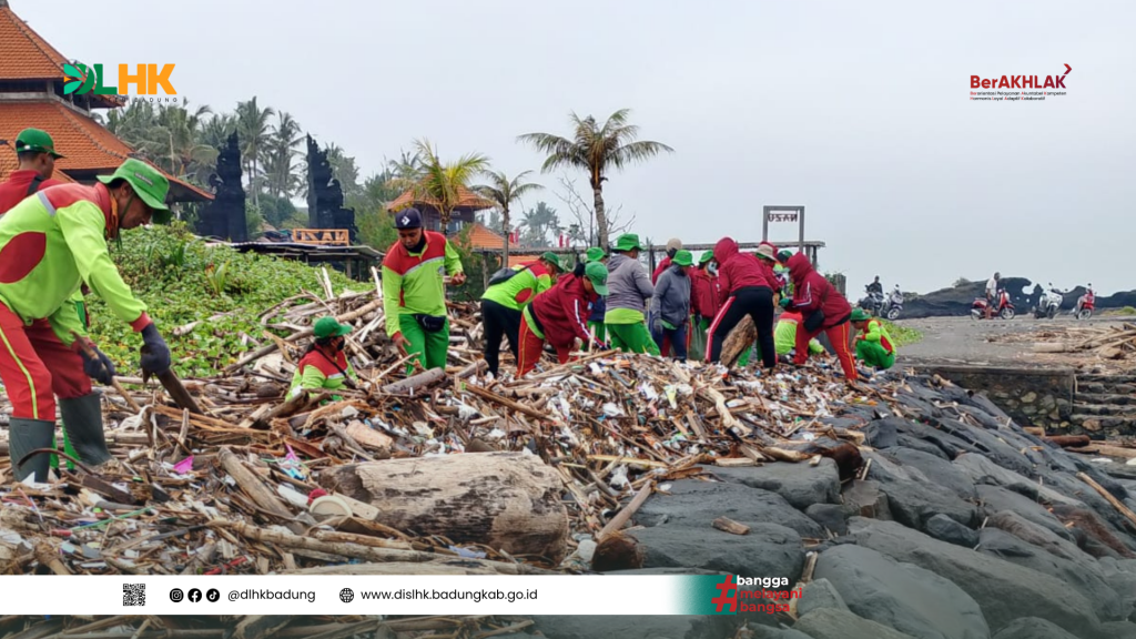 DLHK Badung Bersihkan Sampah Laut di Pantai Cemagi yang di Dominasi Sampah Ranting dan Kayu