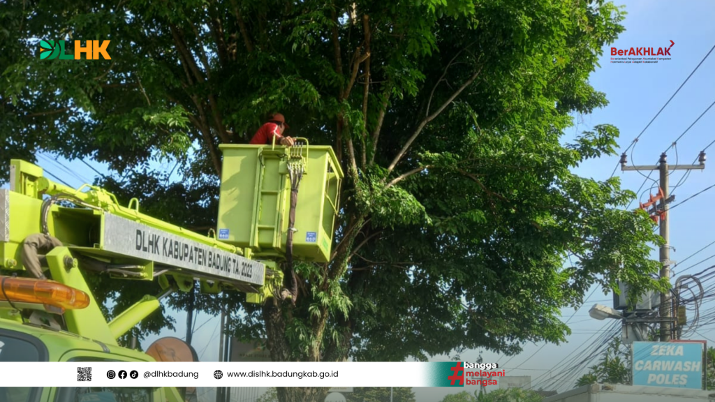 DLHK Badung Melakukan Perompesan Rutin Dahan Pohon Serta Atensi Pengaduan Dari Masyarakat di Beberapa Titik Lokasi di Kabupaten Badung