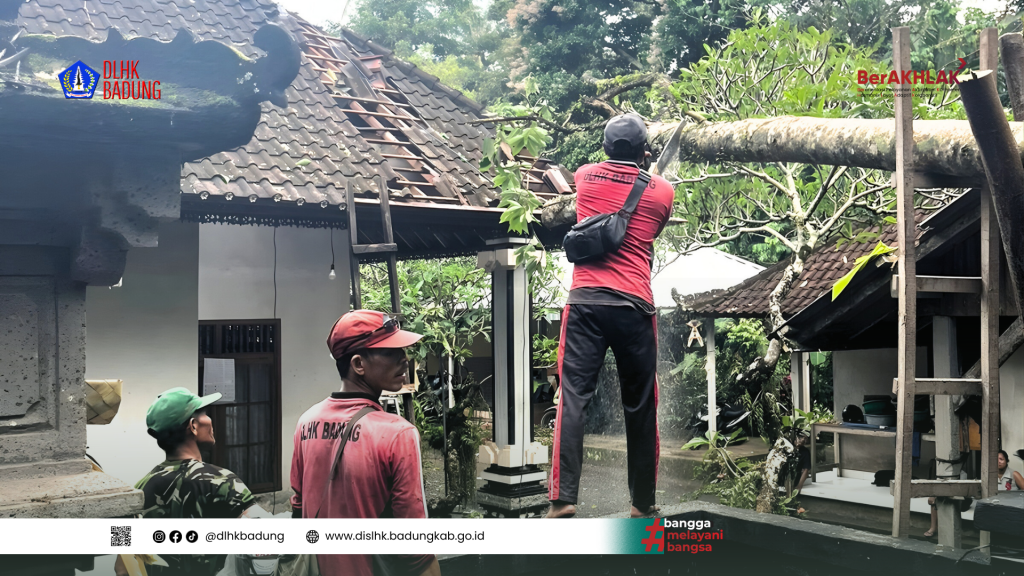 Dinas Lingkungan Hidup dan Kebersihan Kabupaten Badung Atensi Pohon Tumbang di Br. Pacung, Sangeh