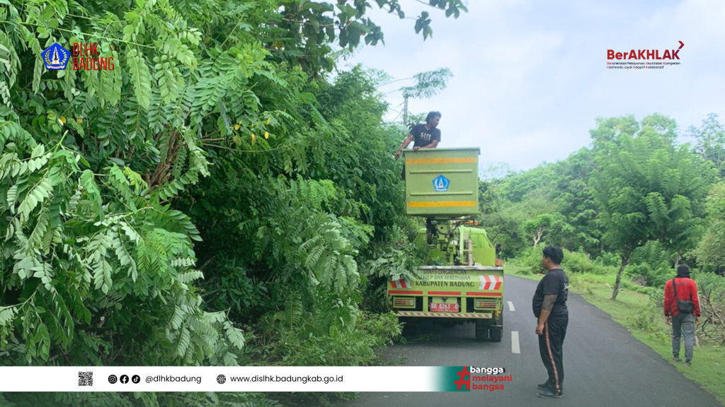 Tindak Lanjut Pengaduan Warga, DLHK Badung Lakukan Penanganan Pohon Rawan di Wilayah Pecatu